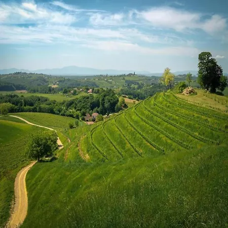 Adorable In Croatia Brod Moravice