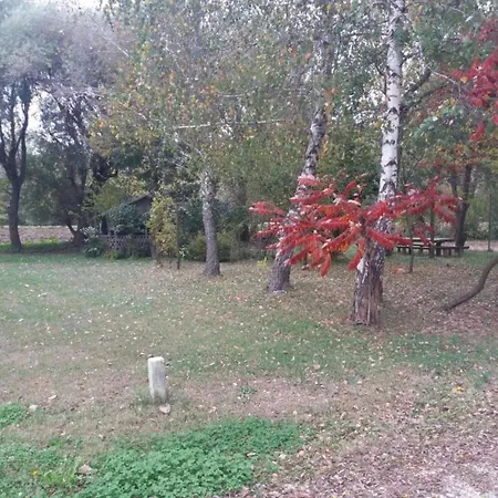 Дом отдыха In With Pool *